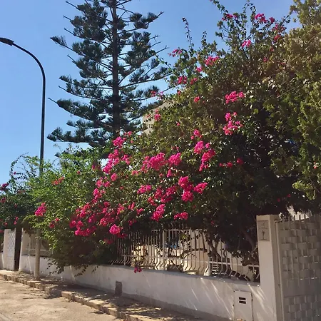 La Palmetta A San Vito Lo Capo