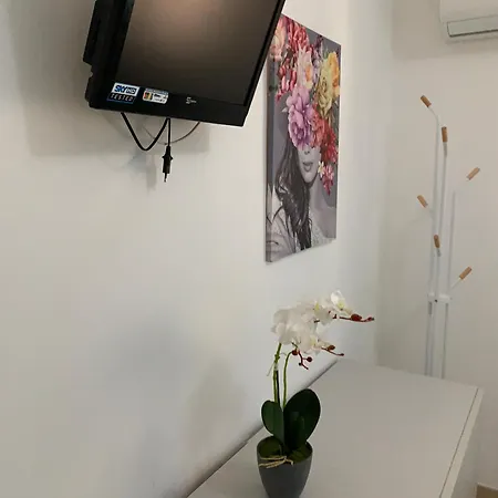 La Palmetta A 산비토로카포