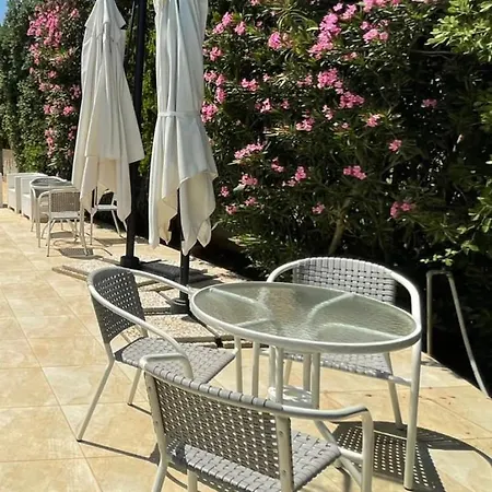 게스트하우스 La Palmetta A 산비토로카포