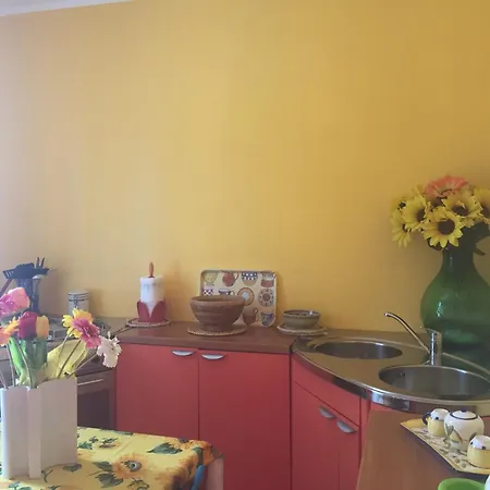 La Palmetta A 산비토로카포