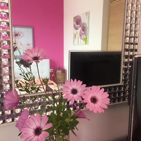 La Palmetta A * 산비토로카포