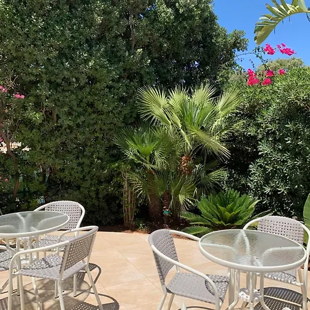 La Palmetta A 게스트하우스 산비토로카포