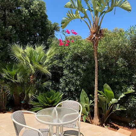 게스트하우스 La Palmetta A *